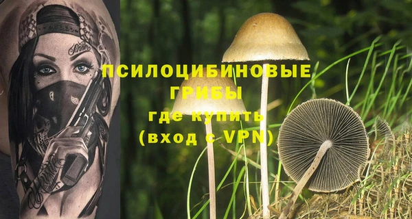 гидропоника Белоозёрский