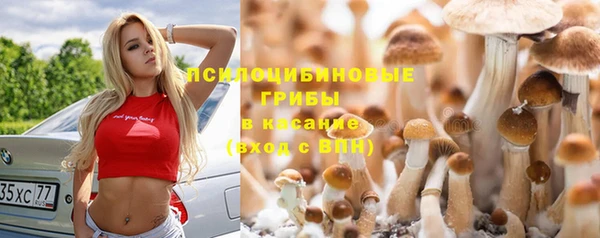 гидропоника Белоозёрский