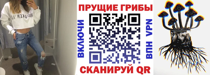 Псилоцибиновые грибы Psilocybe  Шебекино 