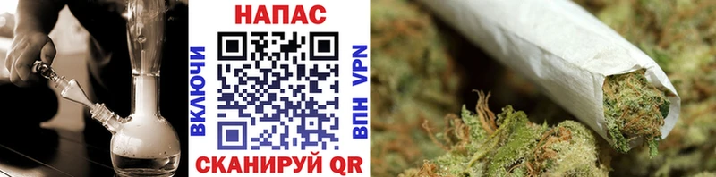 купить наркотик  Шебекино  Шишки марихуана тримм 